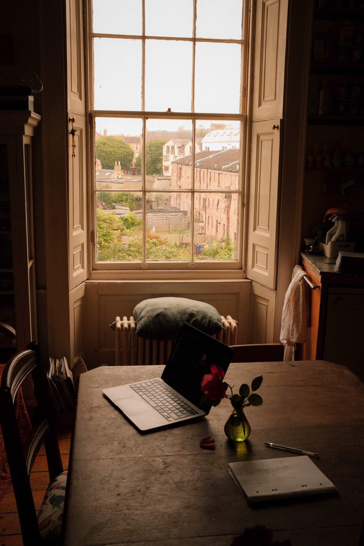 A laptop and a single rose on a wooden table by a tall sash window